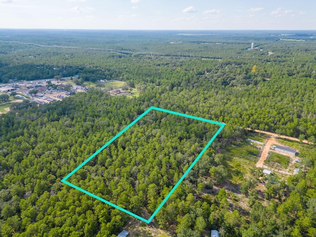 5ACRES Carol Ln, Defuniak Springs, FL 32433 - photo 6