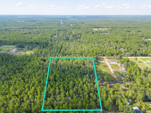 5ACRES Carol Ln, Defuniak Springs, FL 32433 - photo 7
