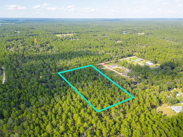 5ACRES Carol Ln, Defuniak Springs, FL 32433 - photo 8