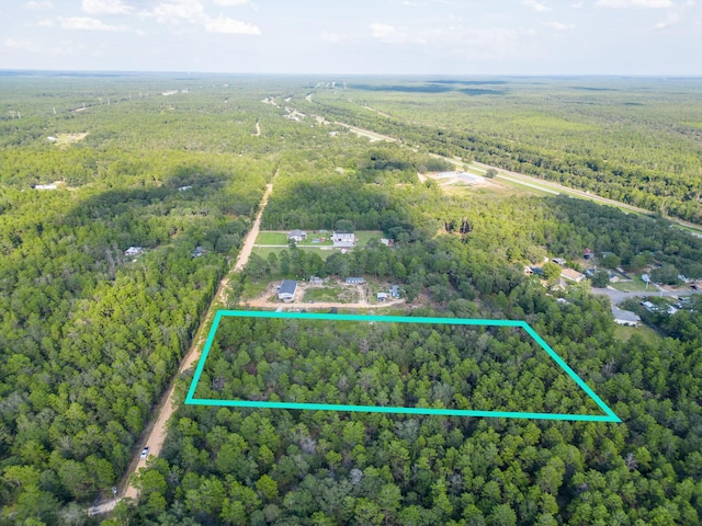 5ACRES Carol Ln, Defuniak Springs, FL 32433 - photo 9