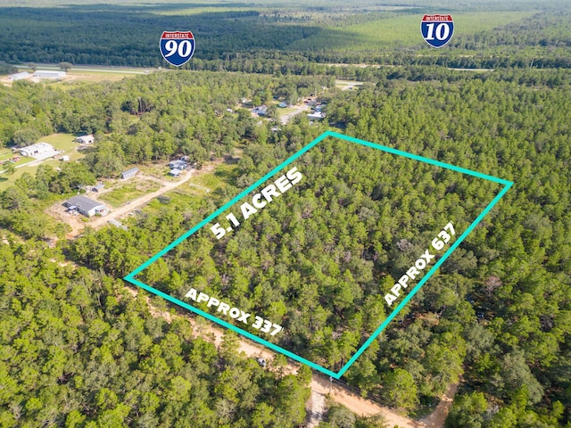 5ACRES Carol Ln, Defuniak Springs, FL 32433 - photo 1
