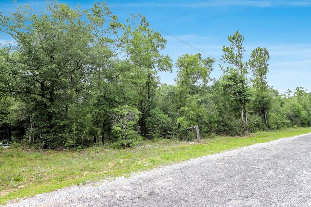 LOT15 E Michaelangelo Rd, Defuniak Springs, FL 32433 - photo 1
