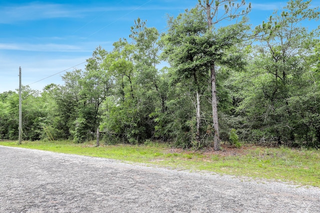 LOT15 E Michaelangelo Rd, Defuniak Springs, FL 32433 - photo 4