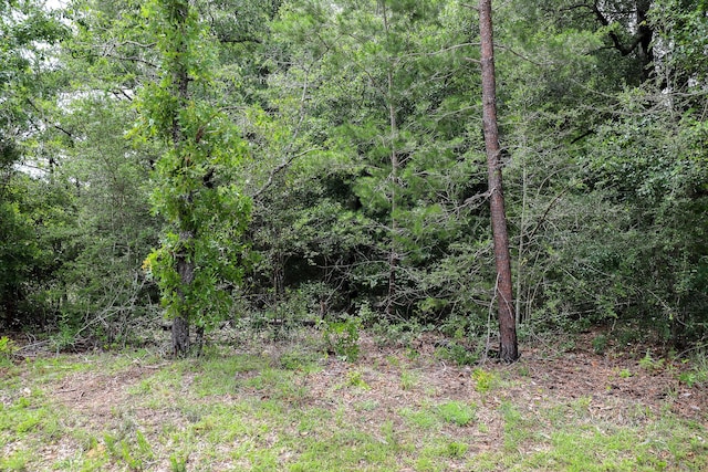 LOT15 E Michaelangelo Rd, Defuniak Springs, FL 32433 - photo 3