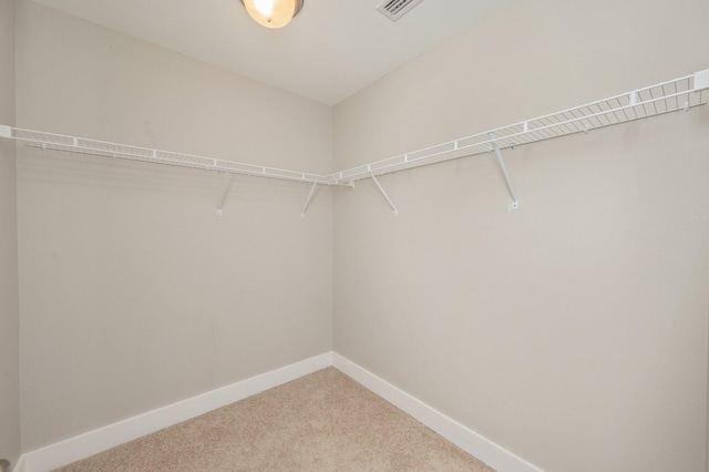 400 Mattie M Kelly Blvd Unit 7, Destin, FL 32541 - spacious closet featuring light carpet