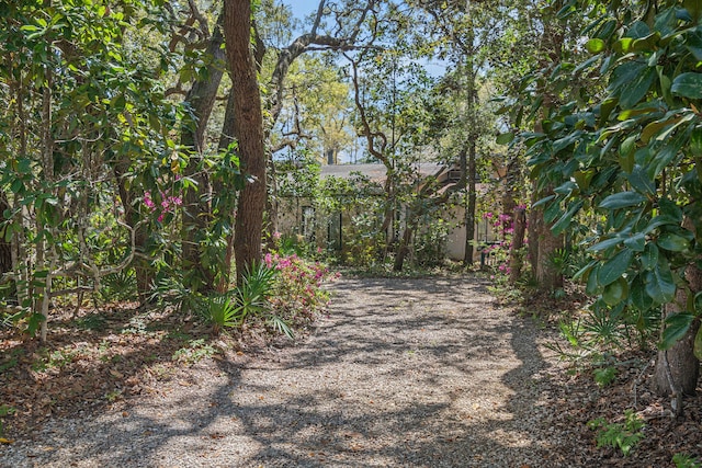 20 & Ln Lots 19, Santa Rosa Beach, FL 32459