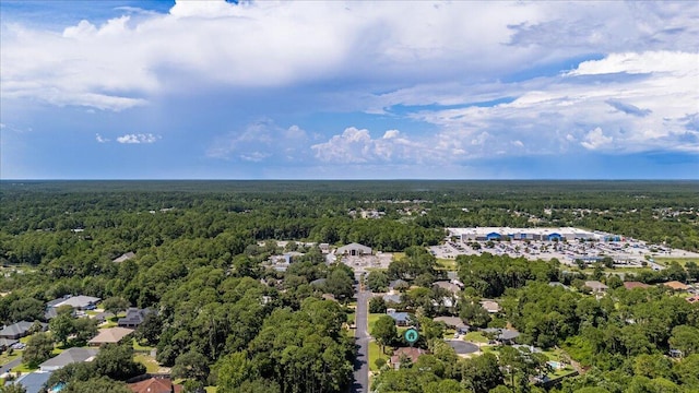 2050 Biscayne Blvd, Navarre, FL 32566 - drone / aerial view of a forest