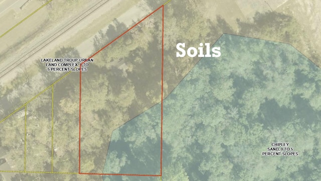 338 Railroad St, Defuniak Springs, FL 32435 - photo 4