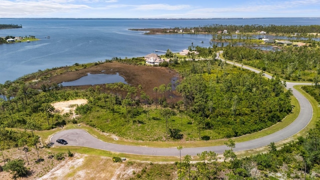 1007 Reel Easy Dr, Panama City, FL 32404 - photo 1