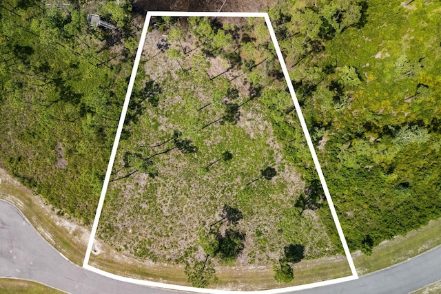 1007 Reel Easy Dr, Panama City, FL 32404 - photo 3