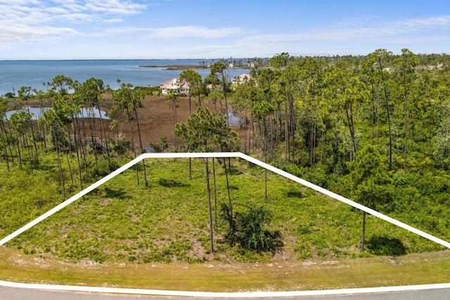 1007 Reel Easy Dr, Panama City, FL 32404 - photo 4