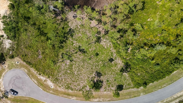 1007 Reel Easy Dr, Panama City, FL 32404 - photo 5