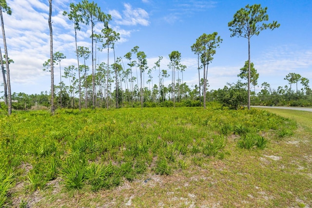 1007 Reel Easy Dr, Panama City, FL 32404 - photo 6