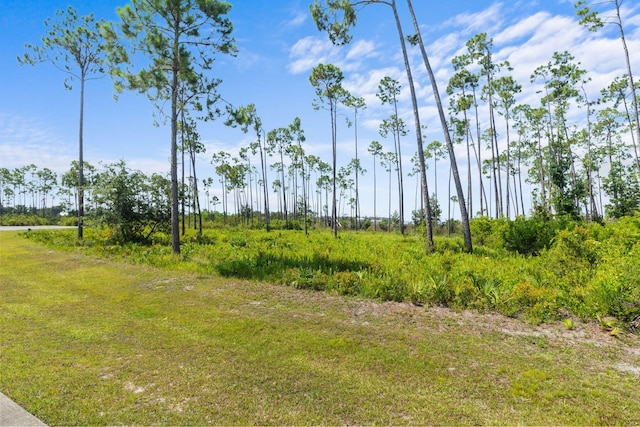 1007 Reel Easy Dr, Panama City, FL 32404 - photo 7