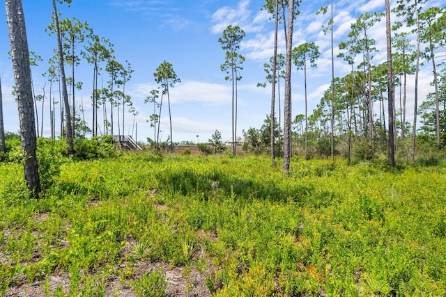 1007 Reel Easy Dr, Panama City, FL 32404 - photo 10
