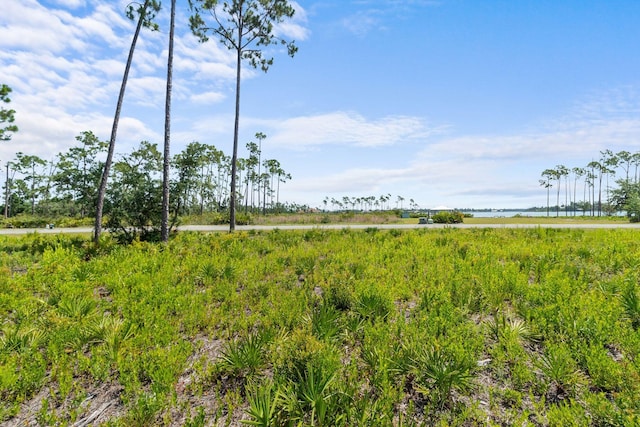 1007 Reel Easy Dr, Panama City, FL 32404 - photo 11