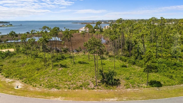 1007 Reel Easy Dr, Panama City, FL 32404 - photo 14