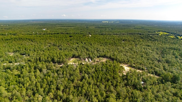 78910 Tarpon Ln, Defuniak Springs, FL 32433 - photo 6