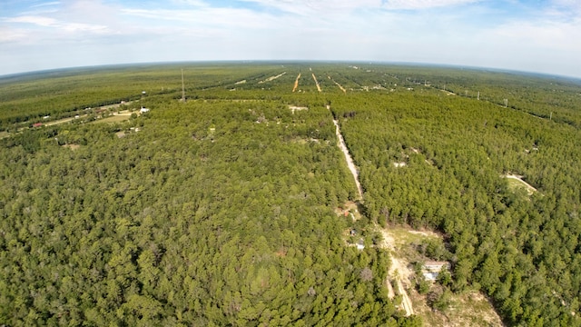 78910 Tarpon Ln, Defuniak Springs, FL 32433 - photo 7