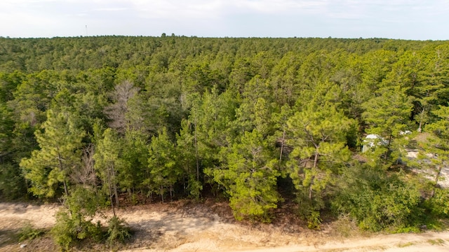 78910 Tarpon Ln, Defuniak Springs, FL 32433 - photo 3