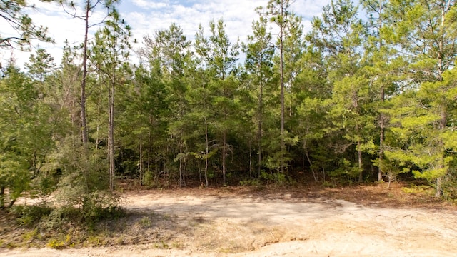 78910 Tarpon Ln, Defuniak Springs, FL 32433 - photo 4