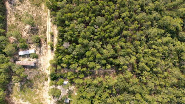 78910 Tarpon Ln, Defuniak Springs, FL 32433 - photo 2