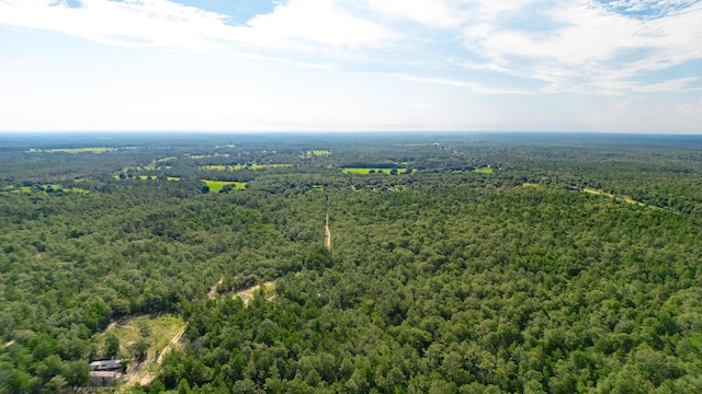 78910 Tarpon Ln, Defuniak Springs, FL 32433 - photo 10