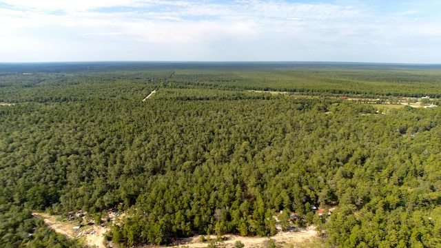 78910 Tarpon Ln, Defuniak Springs, FL 32433 - photo 11