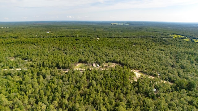 78910 Tarpon Ln, Defuniak Springs, FL 32433 - photo 12