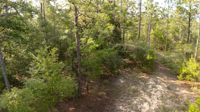 78910 Tarpon Ln, Defuniak Springs, FL 32433 - photo 9