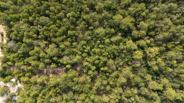 78910 Tarpon Ln, Defuniak Springs, FL 32433 - photo 13