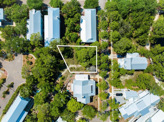 LOT66 Lanier Ln, Santa Rosa Beach, FL 32459 - photo 6