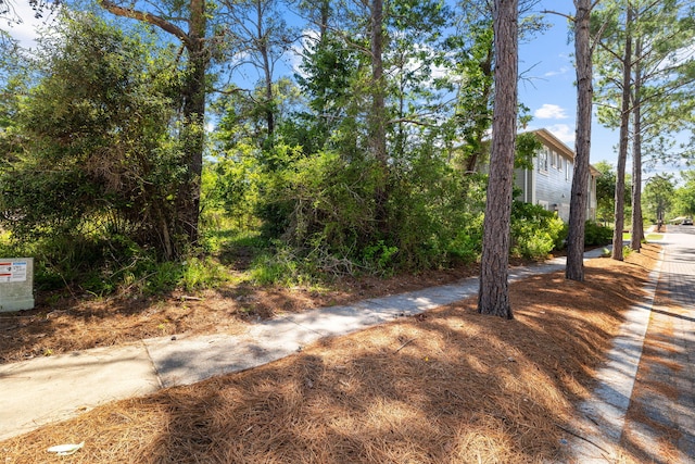 LOT66 Lanier Ln, Santa Rosa Beach, FL 32459 - photo 10