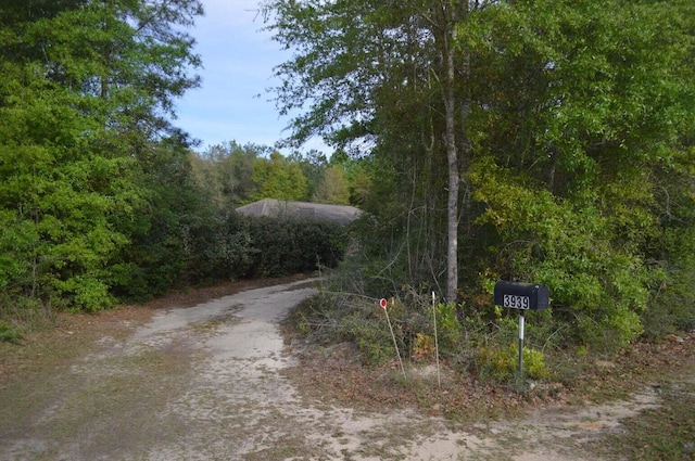 3939 Painter Branch Rd, Crestview, FL 32539 - photo 3