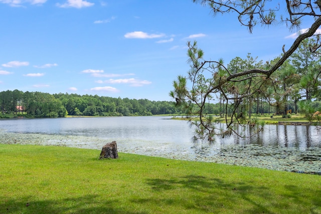 991 Pinewood Dr, Defuniak Springs, FL 32433 - photo 5