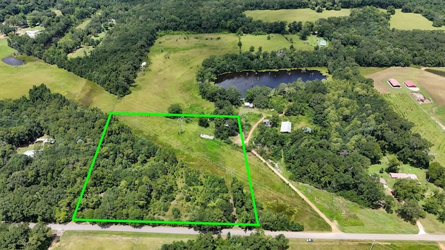 601 Oak Grove Rd, Westville, FL 32464 - photo 4