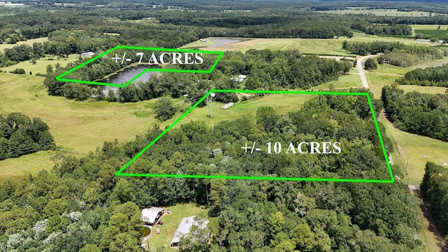 601 Oak Grove Rd, Westville, FL 32464 - photo 10