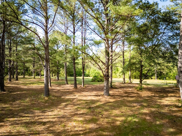 4351 Poverty Creek Rd, Crestview, FL 32539 - photo 46
