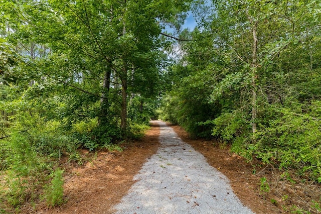 254 Concert Ct, Freeport, FL 32439 - photo 39
