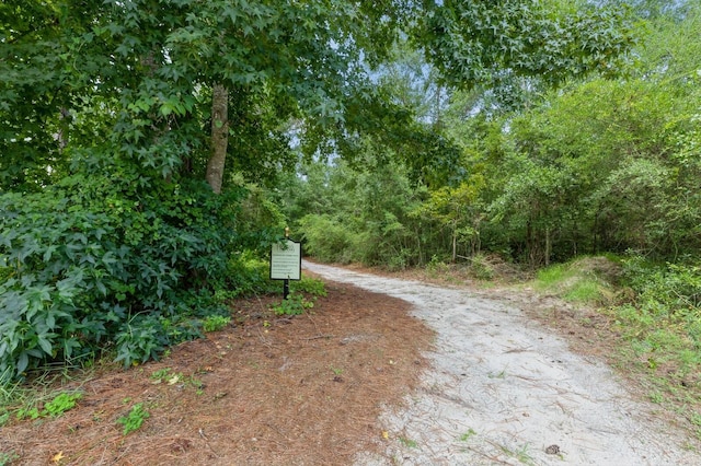 254 Concert Ct, Freeport, FL 32439 - photo 40