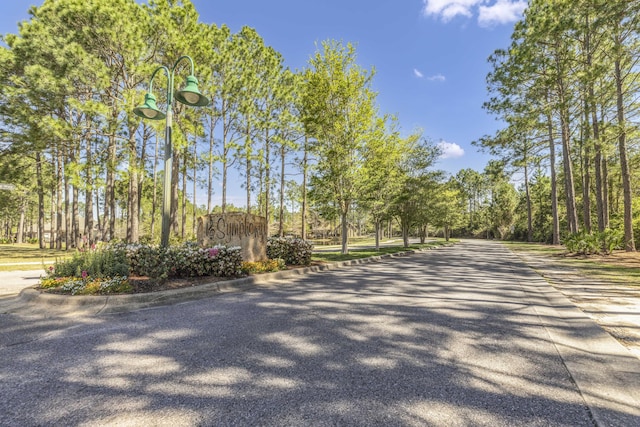 254 Concert Ct, Freeport, FL 32439 - photo 38