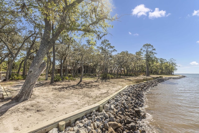 254 Concert Ct, Freeport, FL 32439 - photo 62