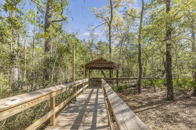 254 Concert Ct, Freeport, FL 32439 - photo 69
