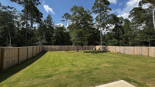 136 Hibernate Way, Freeport, FL 32439 - view of fenced backyard