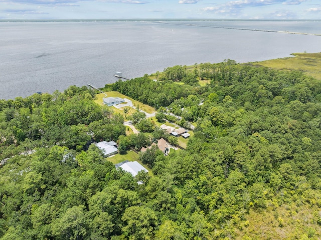 172 Shady Ln, Freeport, FL 32439 - aerial view of property and surrounding area with a nearby body of water and a forest