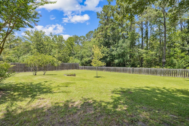 172 Shady Ln, Freeport, FL 32439 - view of fenced backyard