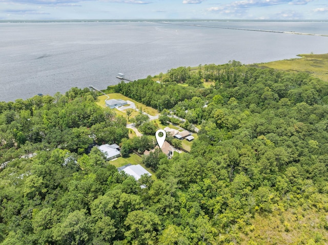 172 Shady Ln, Freeport, FL 32439 - view of property location featuring a nearby body of water and a heavily wooded area