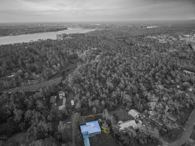 258 W Bayou Forest Dr, Freeport, FL 32439 - photo 54