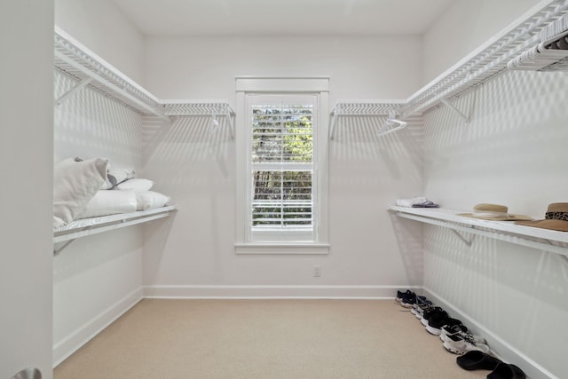 9 W Salt Box Ln, Watersound, FL 32461 - walk in closet featuring carpet floors