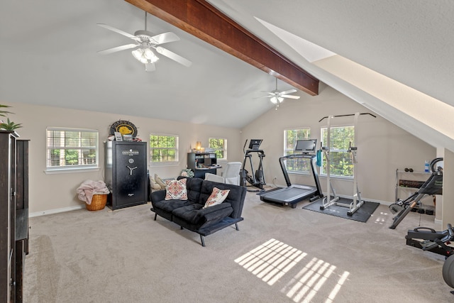3228 Mcmillan Creek Dr, Milton, FL 32583 - workout area featuring ceiling fan, carpet floors, and vaulted ceiling